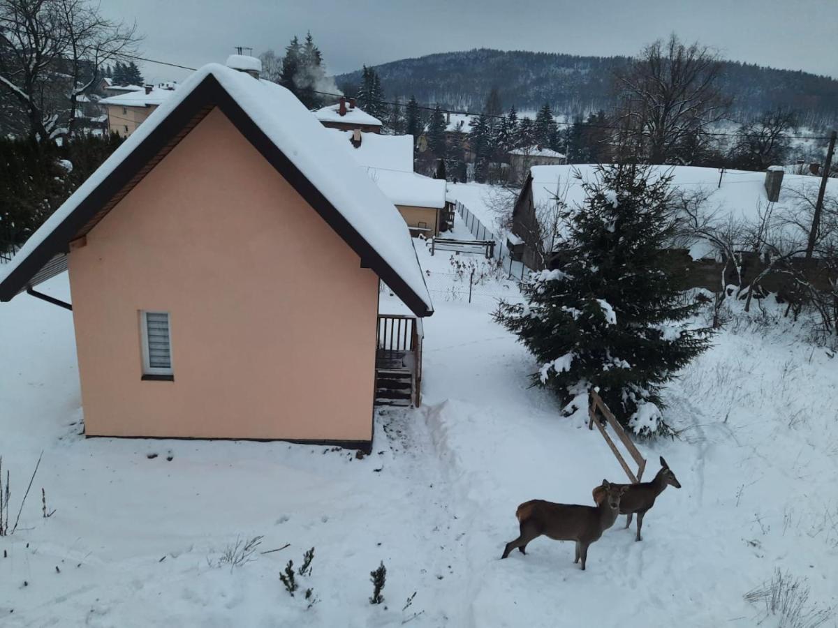 Brzoskwiniowy Domek Ustrzyki Dolne Buitenkant foto