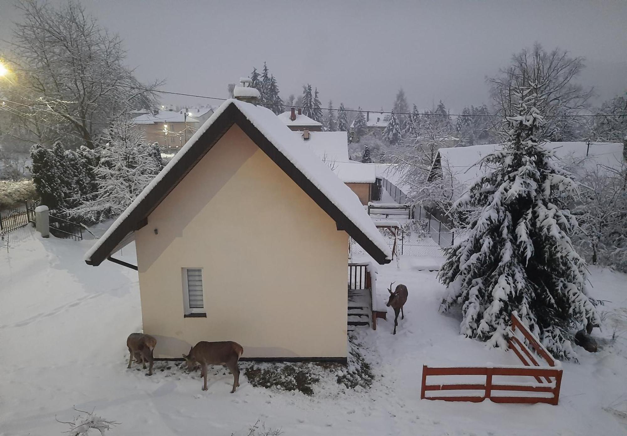 Brzoskwiniowy Domek Ustrzyki Dolne Buitenkant foto